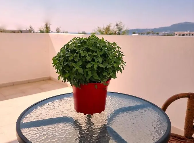 12 Senses Sea View شقة فندقية 3*